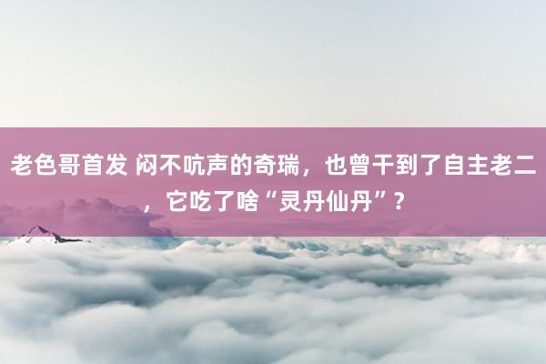 老色哥首发 闷不吭声的奇瑞，也曾干到了自主老二，它吃了啥“灵丹仙丹”？