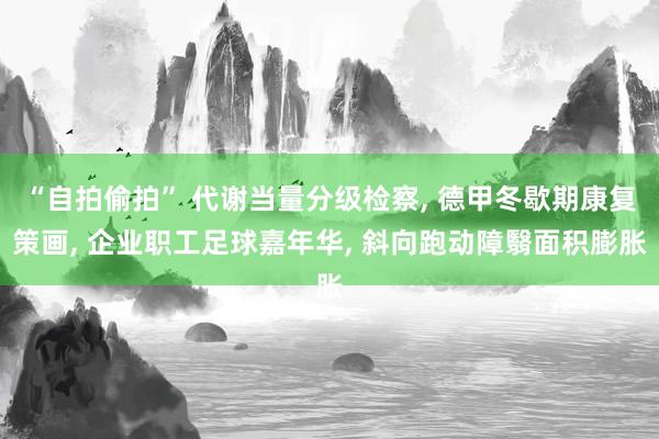 “自拍偷拍” 代谢当量分级检察， 德甲冬歇期康复策画， 企业职工足球嘉年华， 斜向跑动障翳面积膨胀