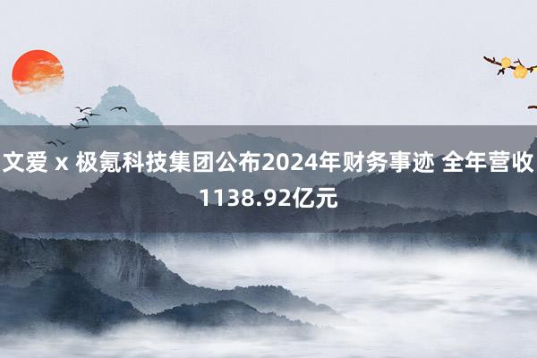 文爱 x 极氪科技集团公布2024年财务事迹 全年营收1138.92亿元