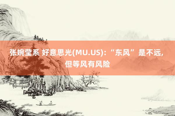 张婉莹系 好意思光(MU.US): “东风” 是不远， 但等风有风险
