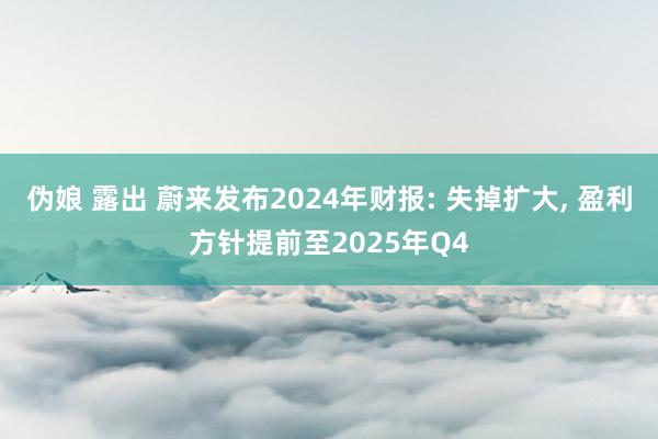 伪娘 露出 蔚来发布2024年财报: 失掉扩大， 盈利方针提前至2025年Q4