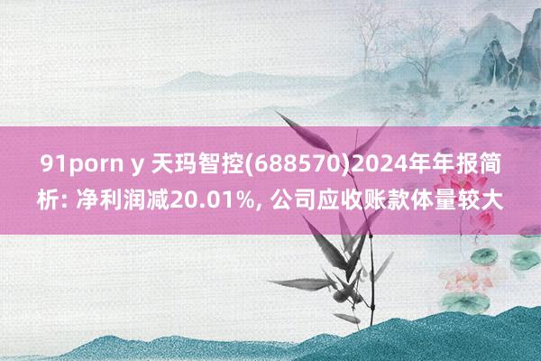 91porn y 天玛智控(688570)2024年年报简析: 净利润减20.01%， 公司应收账款体量较大