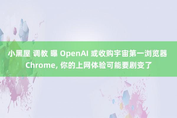 小黑屋 调教 曝 OpenAI 或收购宇宙第一浏览器 Chrome， 你的上网体验可能要剧变了