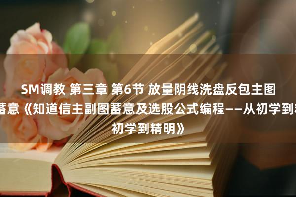 SM调教 第三章 第6节 放量阴线洗盘反包主图技艺蓄意《知道信主副图蓄意及选股公式编程——从初学到精明》
