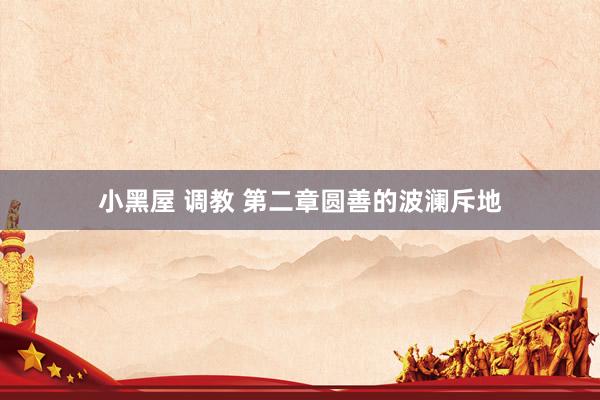小黑屋 调教 第二章圆善的波澜斥地