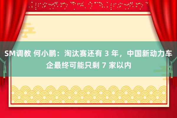 SM调教 何小鹏：淘汰赛还有 3 年，中国新动力车企最终可能只剩 7 家以内