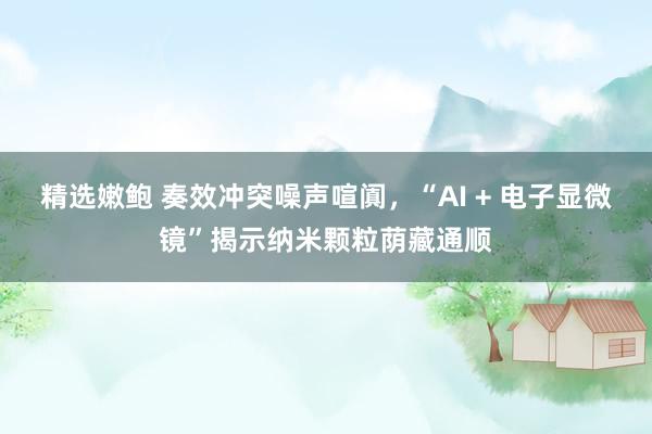 精选嫩鲍 奏效冲突噪声喧阗，“AI + 电子显微镜”揭示纳米颗粒荫藏通顺