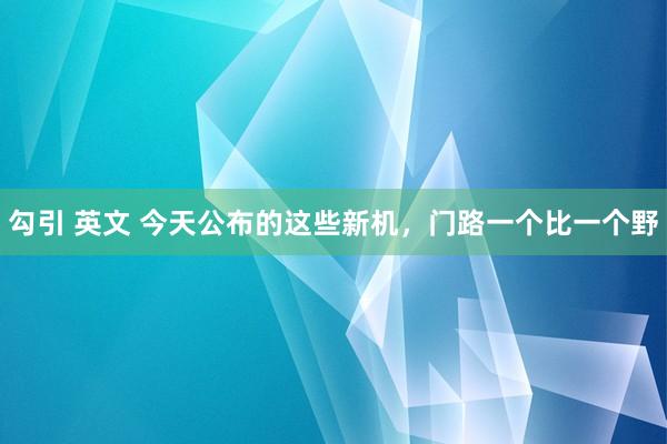 勾引 英文 今天公布的这些新机，门路一个比一个野